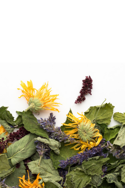 Tisane - L'Apaisante - Camellia